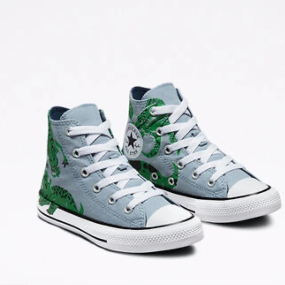 Converse Chuck Taylor All Star Dino Daze